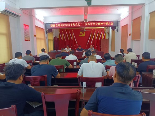 墾區單位深入學習貫徹黨的二十屆四中全會精神